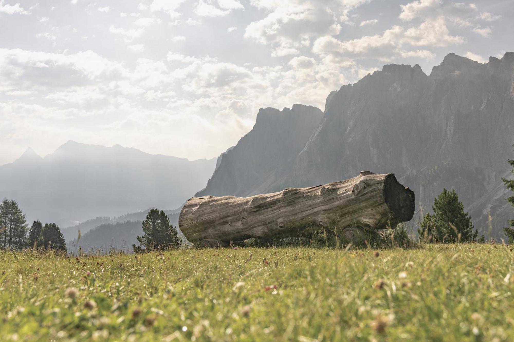 Ciasa Iachin - Dolomites Dream Retreat Appartement Sankt Martin im Turm Buitenkant foto