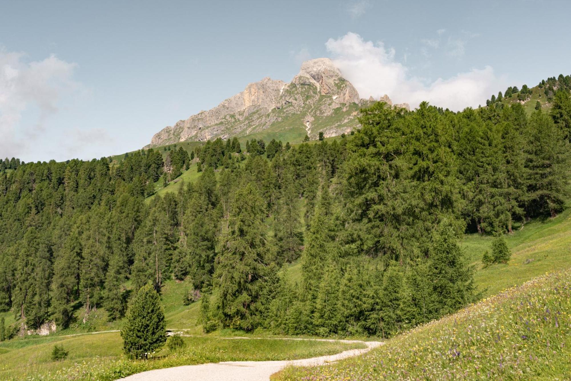 Ciasa Iachin - Dolomites Dream Retreat Appartement Sankt Martin im Turm Buitenkant foto