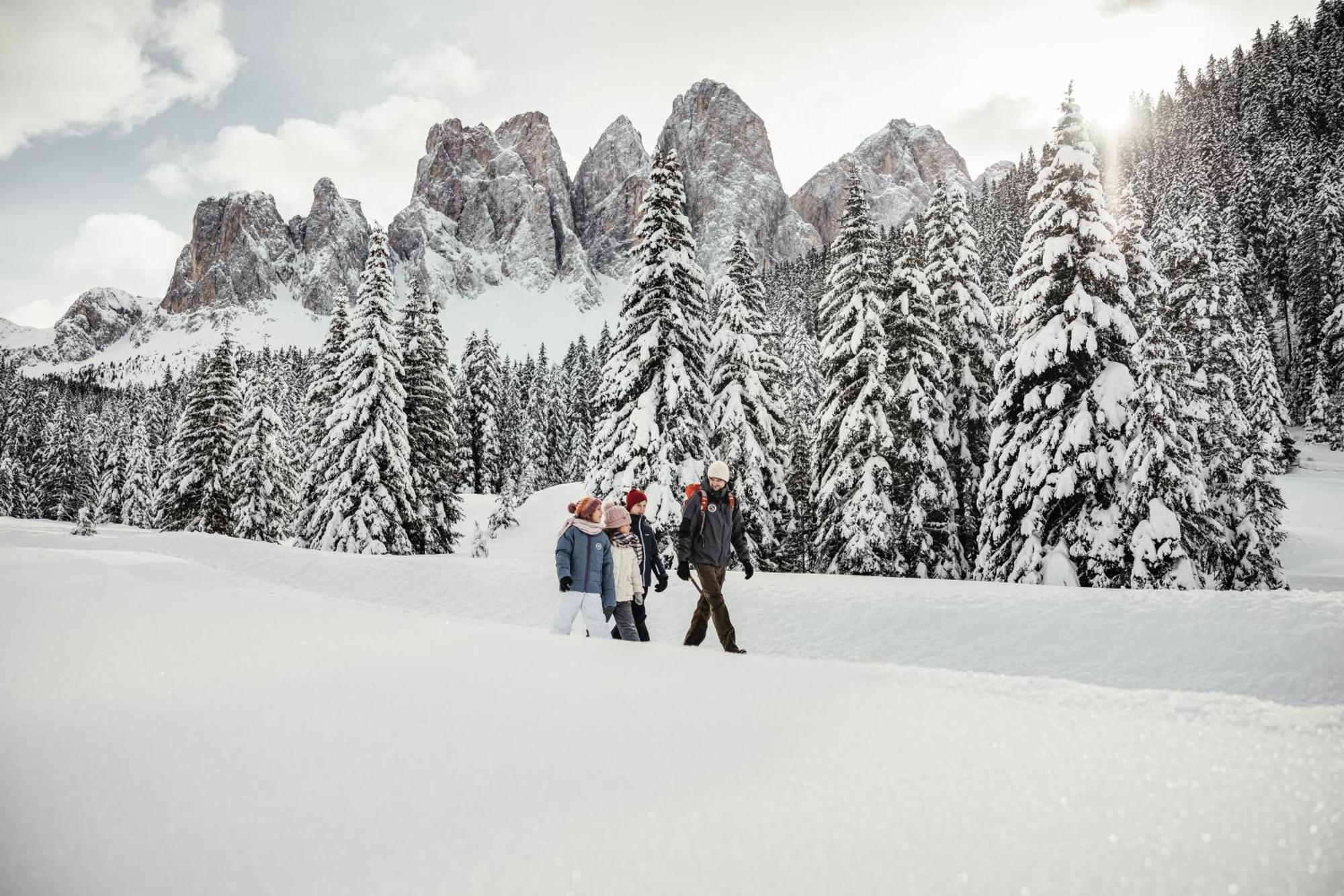 Ciasa Iachin - Dolomites Dream Retreat Appartement Sankt Martin im Turm Buitenkant foto