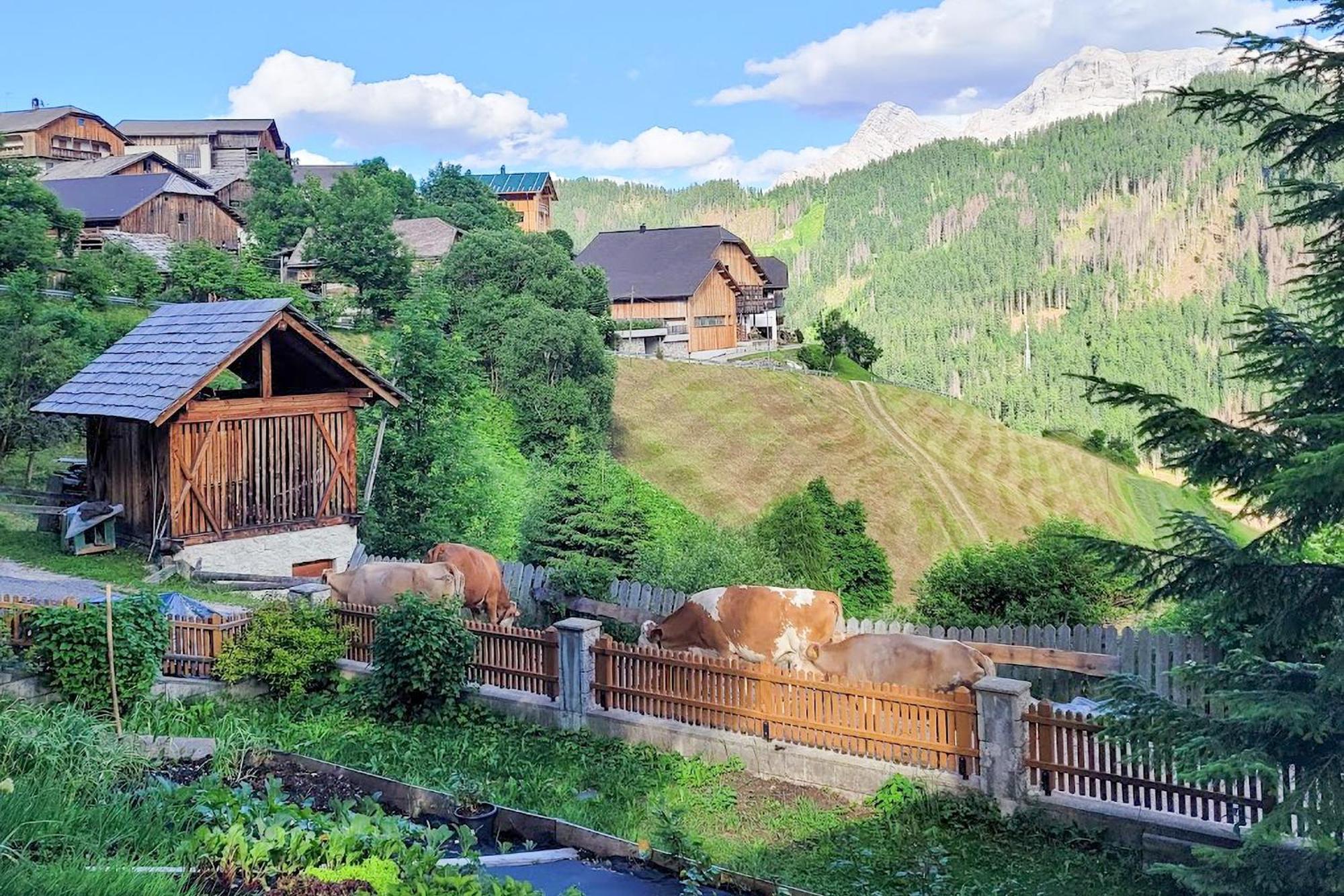 Ciasa Iachin - Dolomites Dream Retreat Appartement Sankt Martin im Turm Buitenkant foto